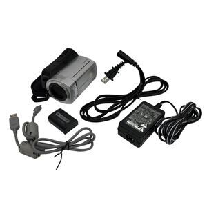 Sony Handycam DCR-SR46 Hybrid HDD Camcorder 40x Carl Zeiss Tested w/ Charger